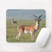 Grant’s Gazelle, Ngorongoro Crater, Ngorongoro Mousepad (Mit Mouse)