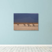 Grant Zebra 2 Leinwanddruck (Insitu (Holzboden))