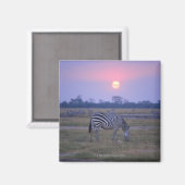 Grant Zebra 3 Magnet (Vorderseite/Rückseite)