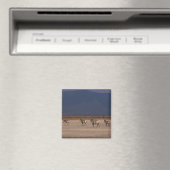 Grant Zebra 4 Magnet (In Situ (Geschirrspüler))