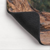 Grant Zebra 5 Mousepad (Ecke)