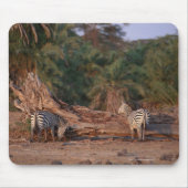 Grant Zebra 5 Mousepad (Vorne)
