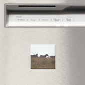 Grant Zebra 7 Magnet (In Situ (Geschirrspüler))