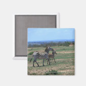 Grant Zebra Magnet (Vorderseite/Rückseite)