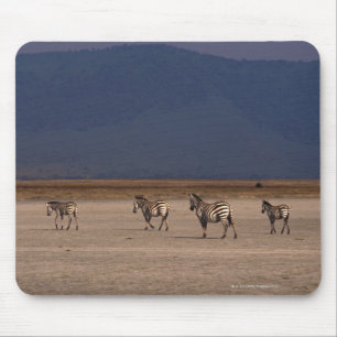 Grant Zebra Mousepad
