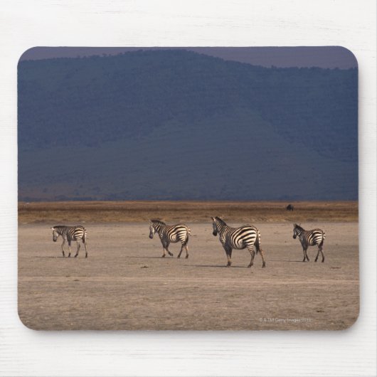 Grant Zebra Mousepad (Vorne)