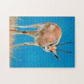 Grant's Gazelle (Gazella Granti) Ewe Portrait Puzzle (Horizontal)