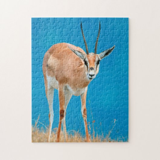 Grant's Gazelle (Gazella Granti) Ewe Portrait Puzzle (Vertikal)