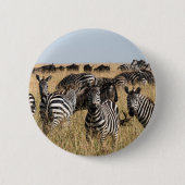Grant's Zebra Button (Vorderseite)