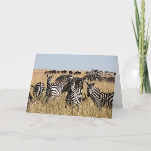 Grant's Zebra Dankeskarte (Vorderseite)