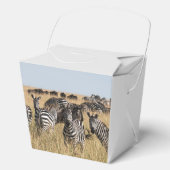 Grant's Zebra Geschenkschachtel (Vorderseite)