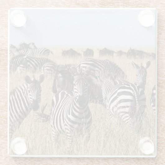 Grant's Zebra Glasuntersetzer (Rückseite)