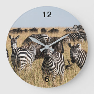 Grant's Zebra Große Wanduhr