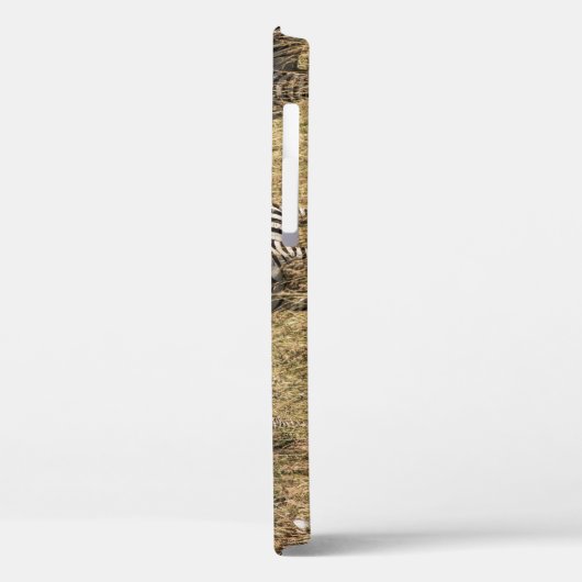 Grant's Zebra iPhone 12 Fall Case-Mate iPhone Hülle (Rückseite / Links)