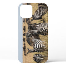 Grant's Zebra iPhone 12 Fall