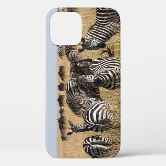 Grant's Zebra iPhone 12 Fall Case-Mate iPhone Hülle (Rückseite)