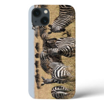 Grant's Zebra iPhone 13 Fall