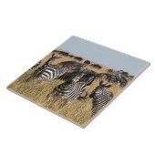 Grants Zebra-Keramik-Tile Fliese (Seite)