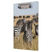 Grant's Zebra Klemmbrett (Links)