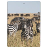Grant's Zebra Klemmbrett (Rückseite)