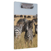 Grant's Zebra Klemmbrett (Rechts)