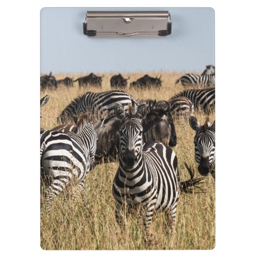 Grant's Zebra Klemmbrett (Vorderseite)