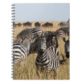 Grants Zebra-Notebook Notizblock (Vorderseite)