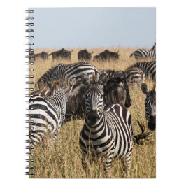 Grants Zebra-Notebook Notizblock