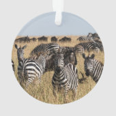 Grant's Zebra Ornament (Rückseite)