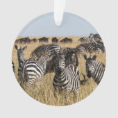 Grant's Zebra Ornament (Vorderseite)