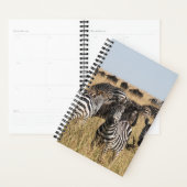 Grant's Zebra Planer (Anzeige)