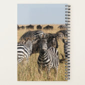 Grant's Zebra Planer (Rückseite)