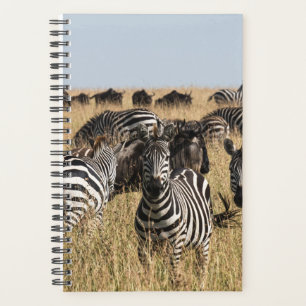 Grant's Zebra Planer