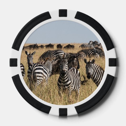 Grant's Zebra Pokerchips (Vorderseite)