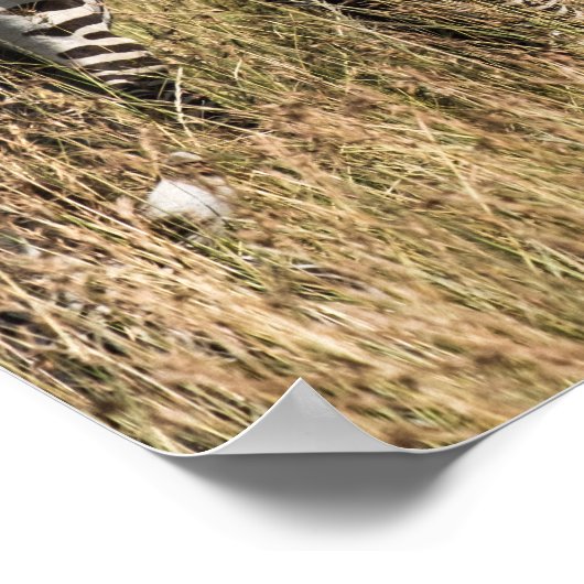 Grant's Zebra Poster (Ecke)