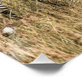 Grant's Zebra Poster (Ecke)