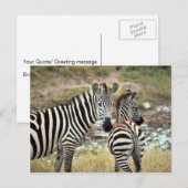 Grant's Zebra Postkarte (Vorne/Hinten)