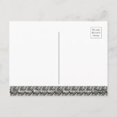 Grant's Zebra [Postkarte] Postkarte (Rückseite)