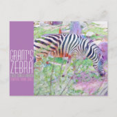 Grant's Zebra [Postkarte] Postkarte (Vorderseite)