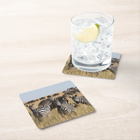 Grant's Zebra Rechteckiger Pappuntersetzer (Vor Ort)