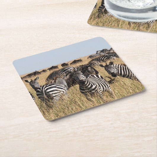 Grant's Zebra Rechteckiger Pappuntersetzer (angewinkelt)