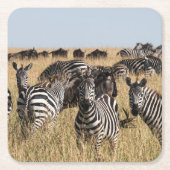 Grant's Zebra Rechteckiger Pappuntersetzer (Vorderseite)