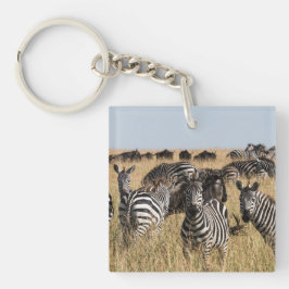 Grant's Zebra Schlüsselanhänger