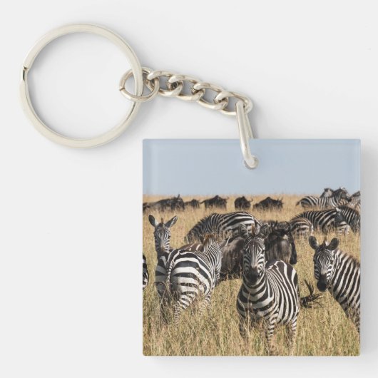 Grant's Zebra Schlüsselanhänger (Vorderseite)