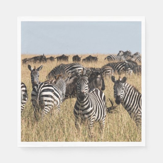 Grant's Zebra Serviette (Vorderseite)