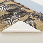 Grant's Zebra Sherpa Blanket Sherpadecke (3/4)
