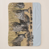 Grant's Zebra Sherpa Blanket Sherpadecke (Vorderseite)