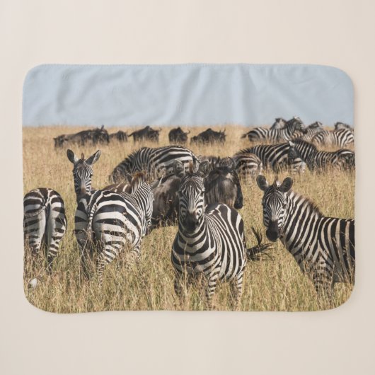 Grant's Zebra Sherpa Blanket Sherpadecke (Vorderseite (Horizontal))