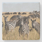 Grant's Zebra Steinuntersetzer (Vorderseite)