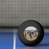 Grant's Zebra Tischtennisball (Netto)